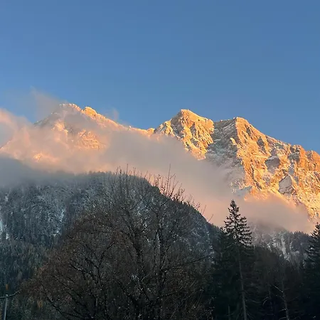 Steiner In Scheffau * Scheffau am Wilden Kaiser